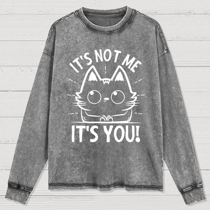 It's Not me It's You Washed Long Sleeve Tee
