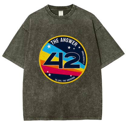 The Answer is 42 Vintage Distressed T-shirt