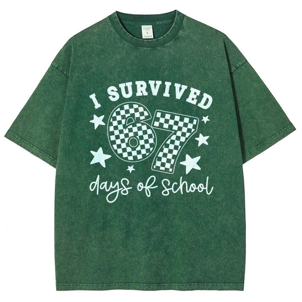 I Survived 67 Days of School Vintage Distressed T-shirt