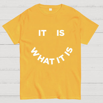 It Is What It Is Geeky T-Shirt