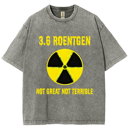 3.6 Roentgen Not Great Not Terrible Vintage Distressed T-shirt