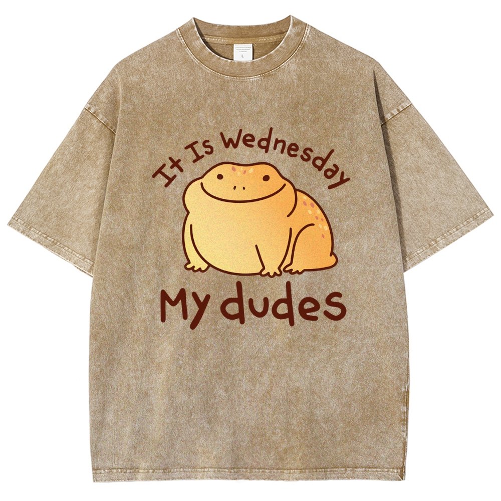 It's Wednesday My Dudes Vintage Distressed T-shirt