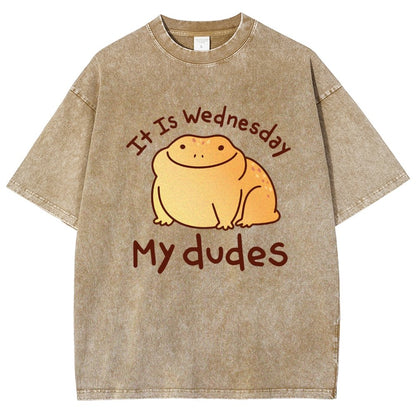 It's Wednesday My Dudes Vintage Distressed T-shirt