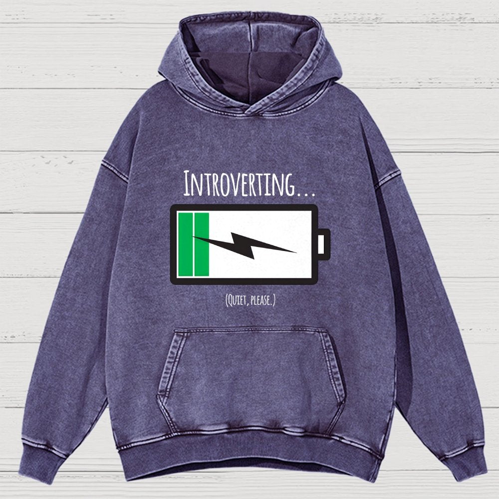 Introverting Vintage Distressed Hoodie