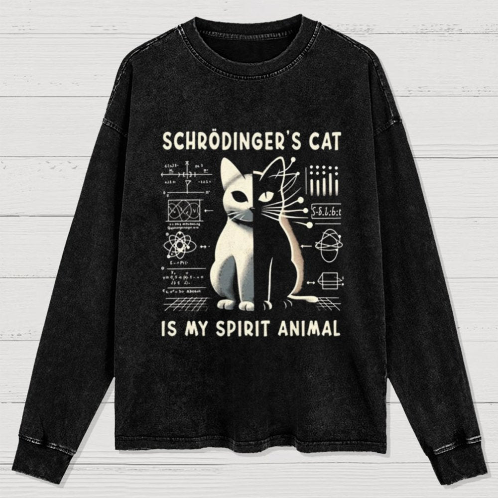 Schrodinger's Сat Science Washed Long Sleeve Tee