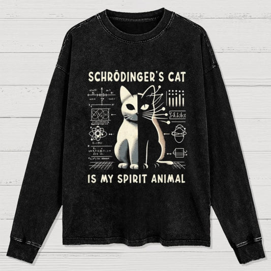 Schrodinger's Сat Science Washed Long Sleeve Tee