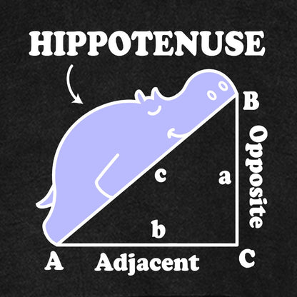 Hypotenuse Math Pun, Hippotenuse Essential Vintage Distressed Hoodie