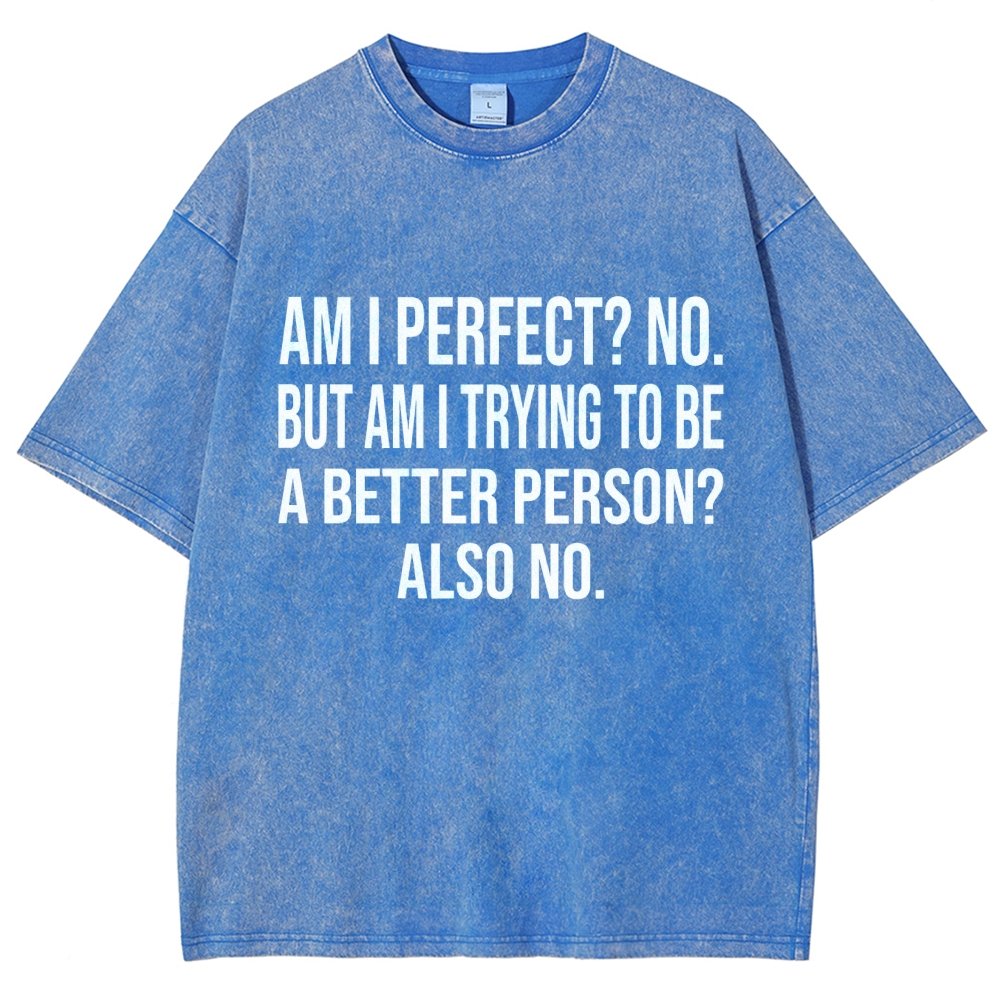 Am I Perfect No But Am I Trying To Be A Better Person Also No Vintage Distressed T-shirt