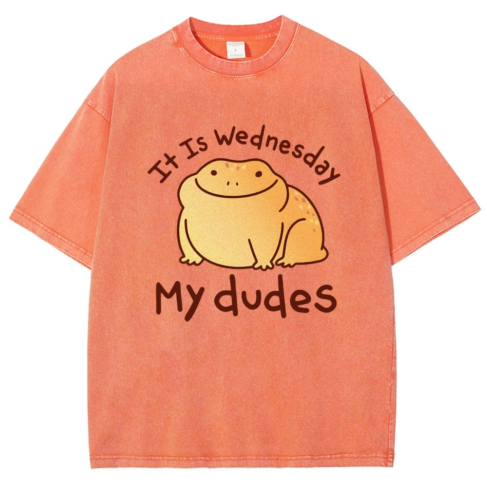 It's Wednesday My Dudes Vintage Distressed T-shirt