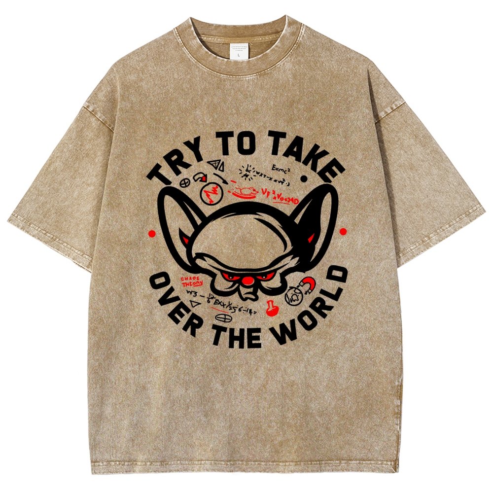 Take Over The World Vintage Distressed T-shirt