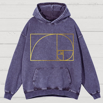 Distressed Fibonacci Spiral Geek Graphic Vintage Distressed Hoodie