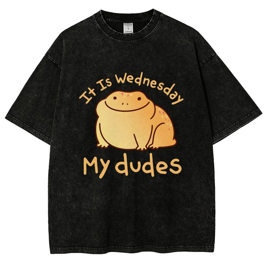 It's Wednesday My Dudes Vintage Distressed T-shirt