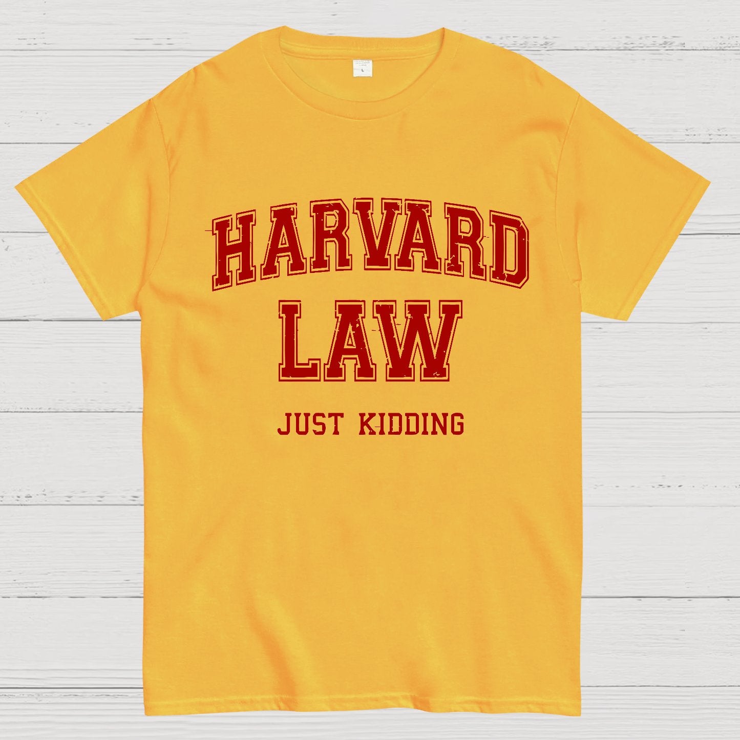 Harvard Law (Just Kidding) Geek T-Shirt