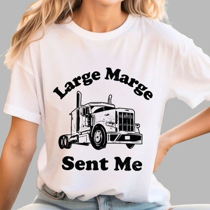 Mysterious Lady Sent Me Geek T-Shirt