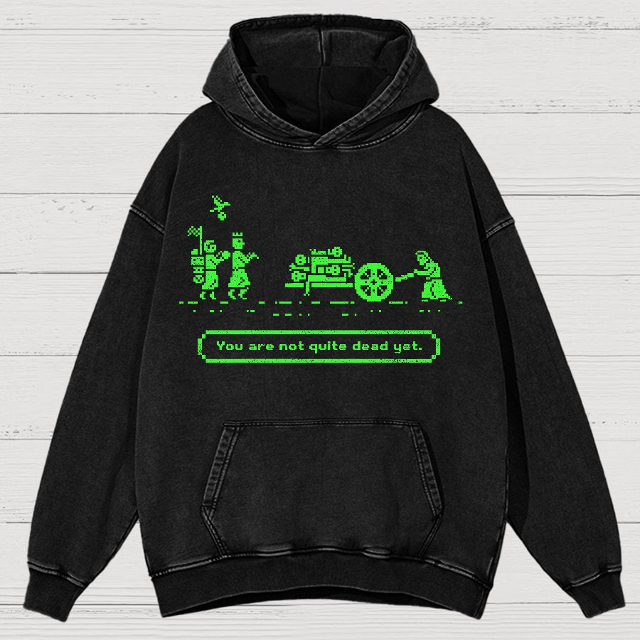 The Mystic Trail Vintage Distressed Hoodie