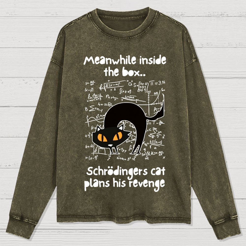 Schrodingers Cat Revenge Washed Long Sleeve Tee