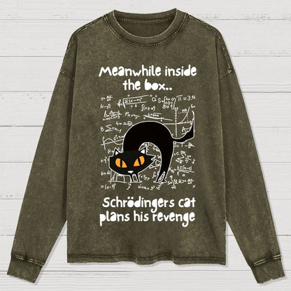 Schrodingers Cat Revenge Washed Long Sleeve Tee