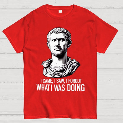 I Came  I saw  I forgot What I was Doing Geek T-Shirt