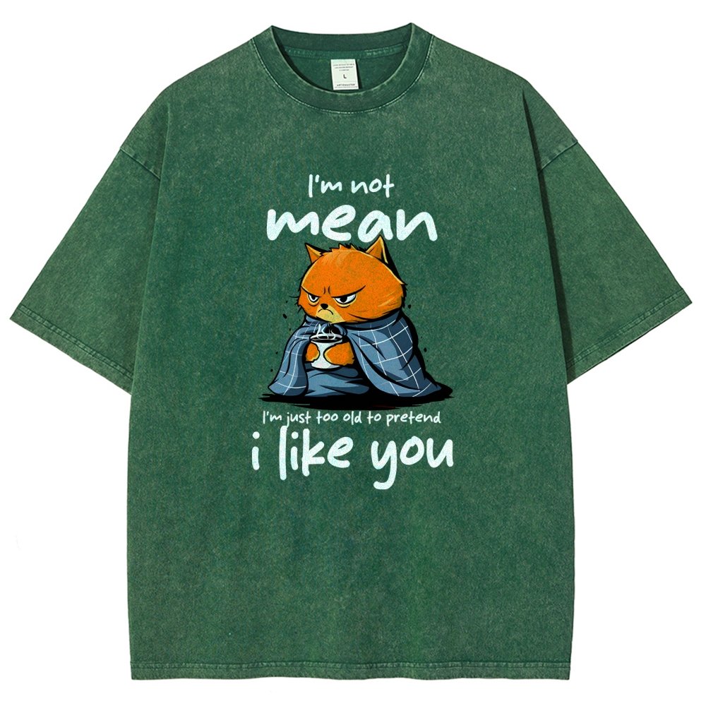 I Am Not Mean Vintage Distressed T-shirt