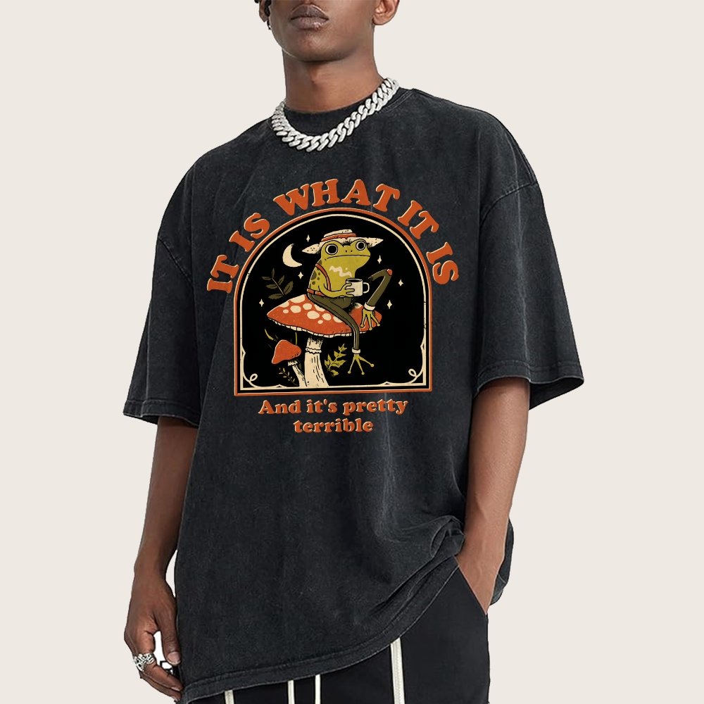It Is What It Is And It's Pretty Terrible Vintage Distressed T-shirt