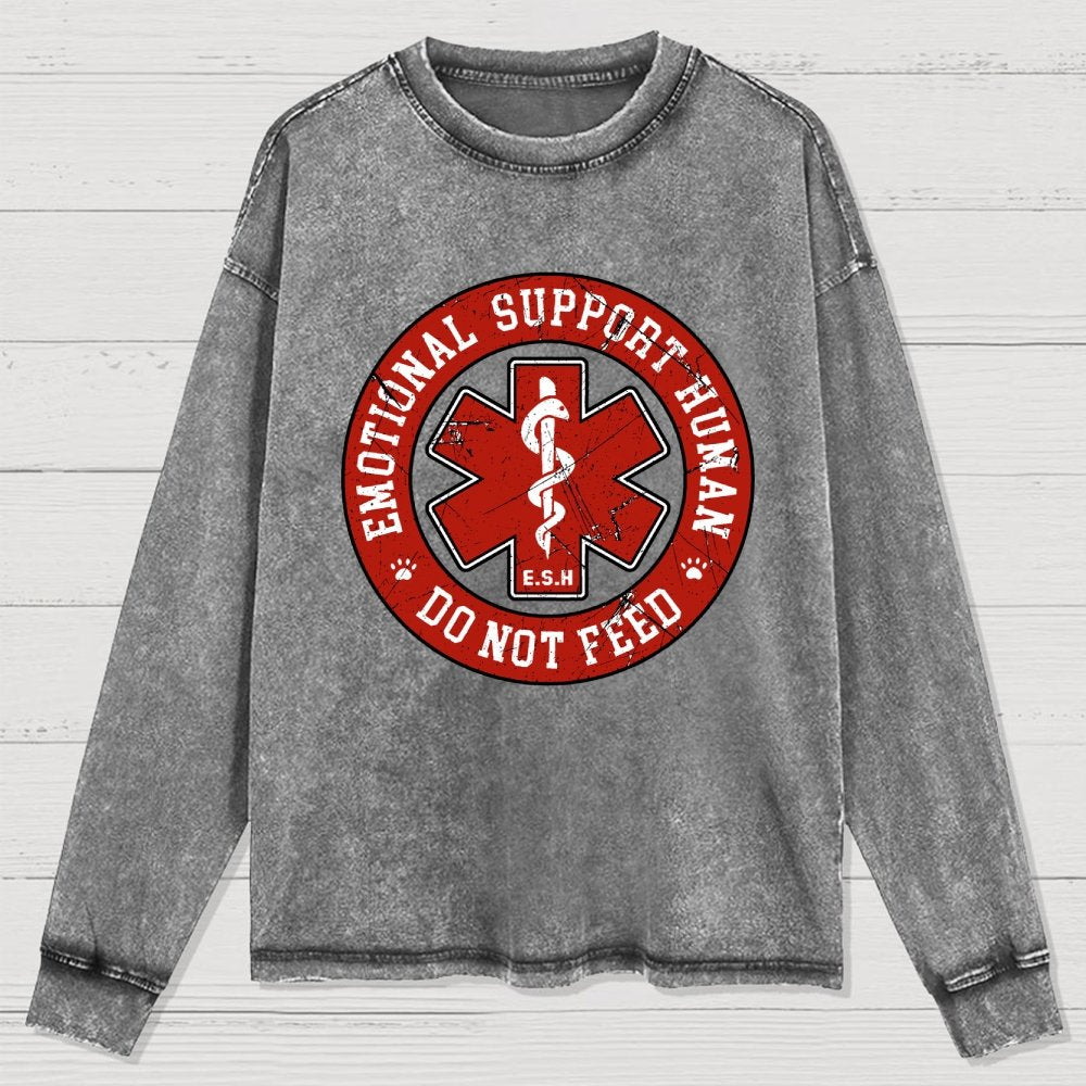Do Not Feed Washed Long Sleeve Tee