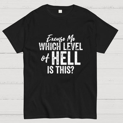 Excuse Me Which Level of Hell is This？Geek T-Shirt