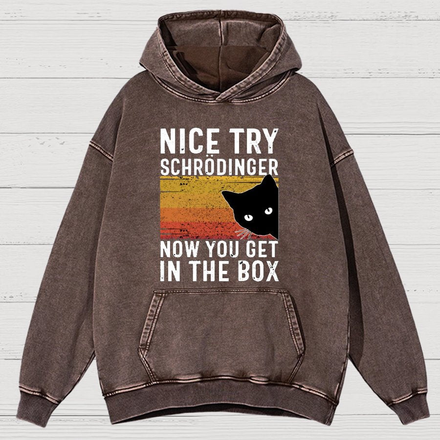 You Get Schrodinger's cat In The Box Vintage Distressed Hoodie