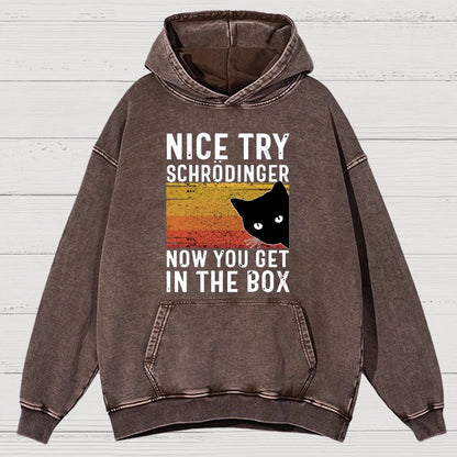 You Get Schrodinger's cat In The Box Vintage Distressed Hoodie