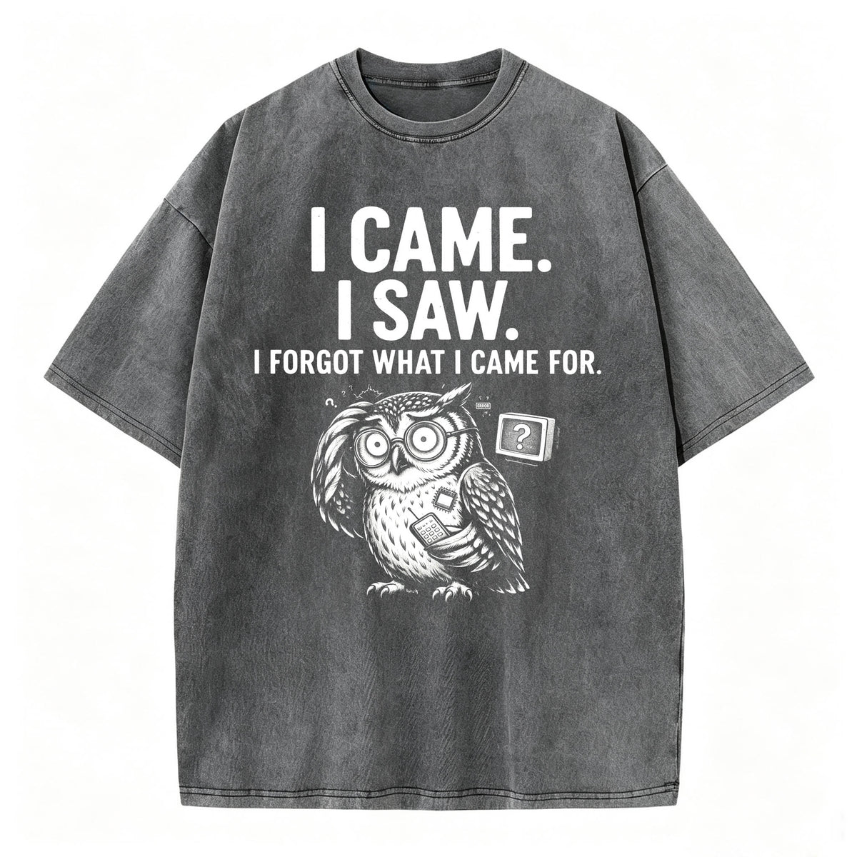 I Came. I Saw. I Forgot What I Came For. Funny Owl Vintage T-Shirt