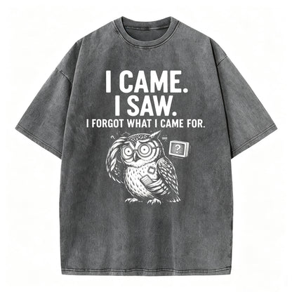 I Came. I Saw. I Forgot What I Came For. Funny Owl Vintage T-Shirt