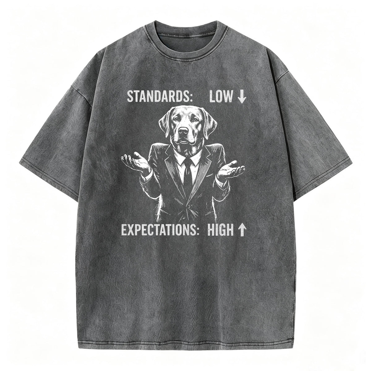 Standards Low Expectations High Funny Sarcastic T-Shirt