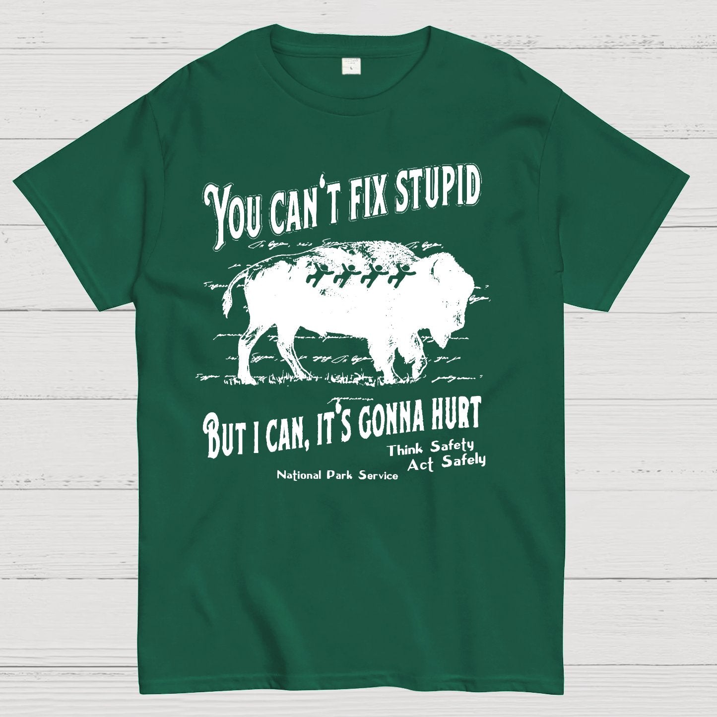 You Cant Fix Stupid Geek T-Shirt