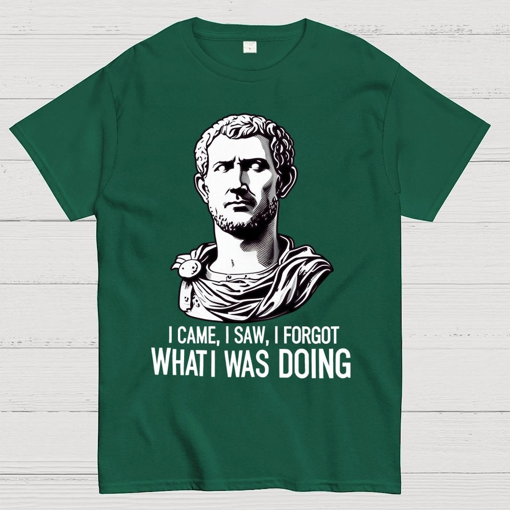 I Came  I saw  I forgot What I was Doing Geek T-Shirt