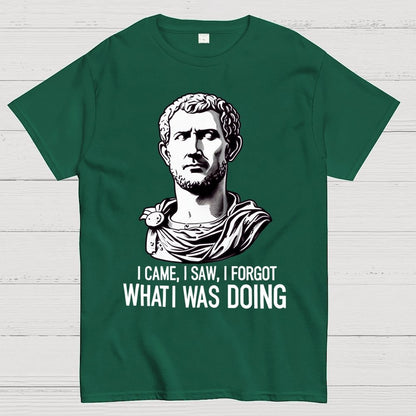 I Came  I saw  I forgot What I was Doing Geek T-Shirt