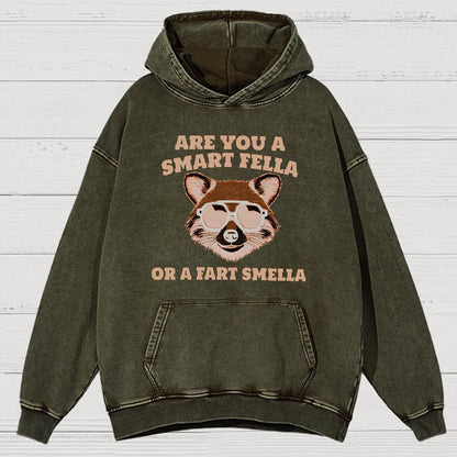 Are You A Smart Fella Or Fart Smella Vintage Distressed Hoodie
