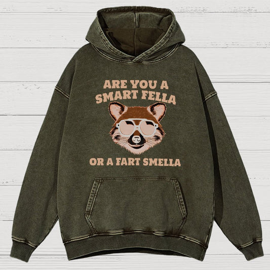 Are You A Smart Fella Or Fart Smella Vintage Distressed Hoodie
