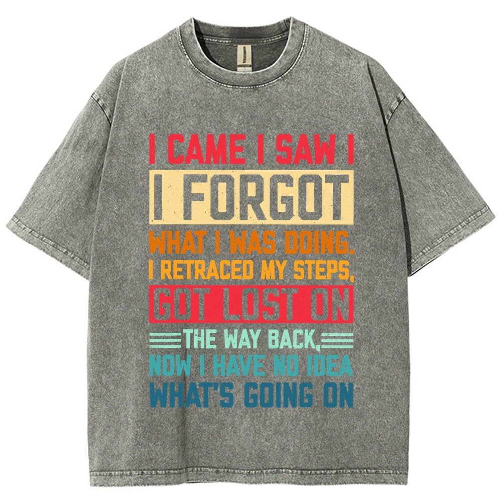 I Came I Saw I Forgot What I Was Doing Sarcastic Vintage Distressed T-shirt