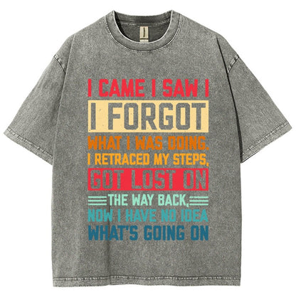 I Came I Saw I Forgot What I Was Doing Sarcastic Vintage Distressed T-shirt