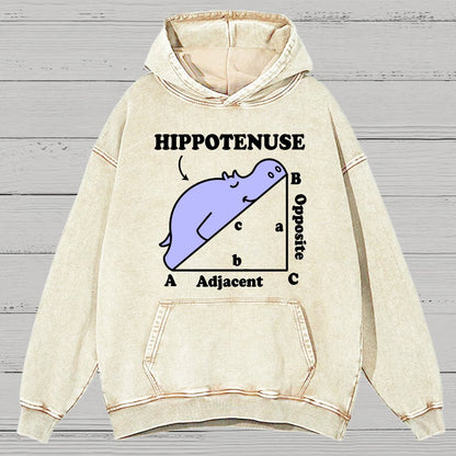 Hypotenuse Math Pun, Hippotenuse Essential Vintage Distressed Hoodie
