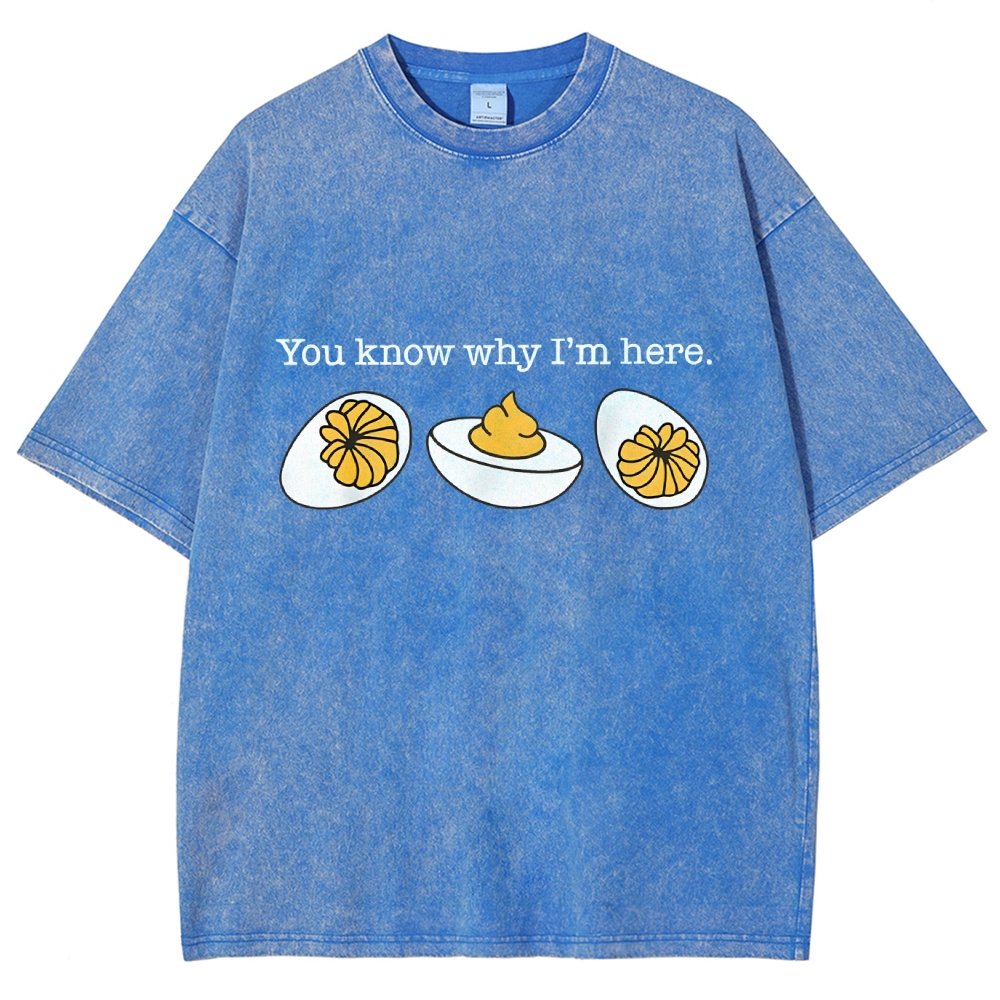 Retro You Know Why I'm Here Deviled Egg Vintage Distressed T-shirt