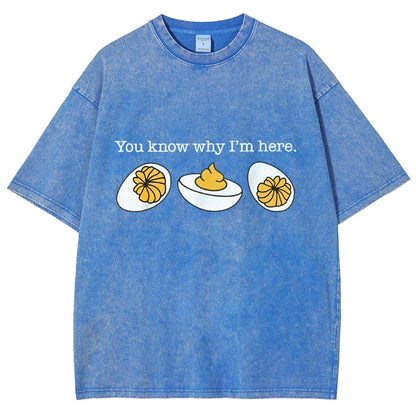 Retro You Know Why I'm Here Deviled Egg Vintage Distressed T-shirt