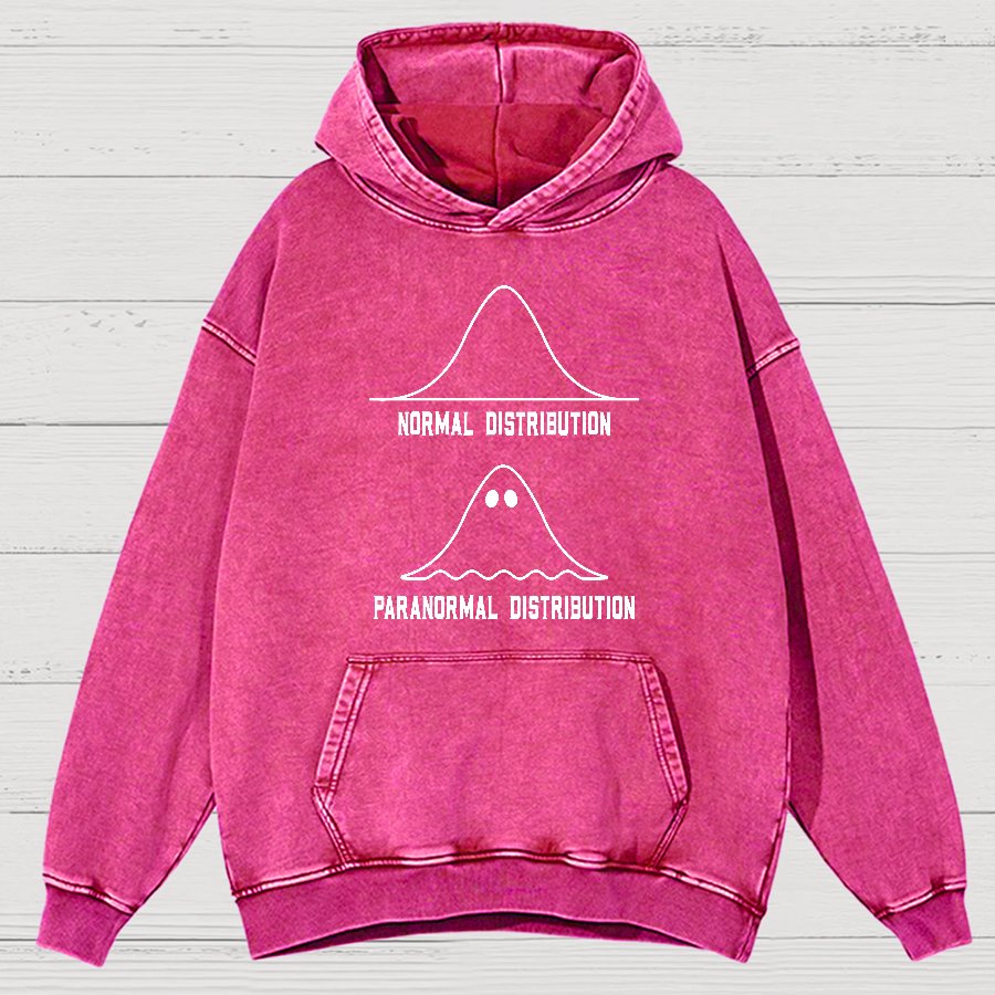 Math Statistics Normal Distribution Paranormal Distribution teacher gift Classic Vintage Distressed Hoodie