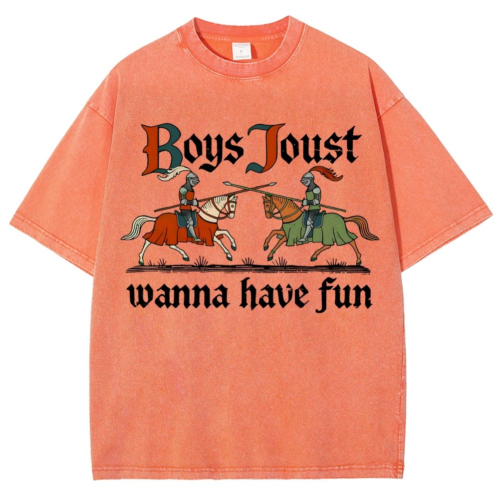 Boys Joust Wanna Have Fun Vintage Distressed T-shirt