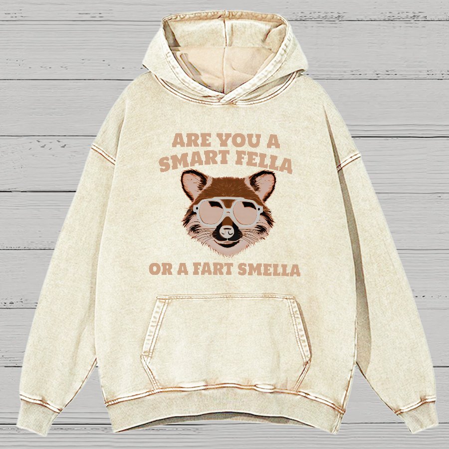 Are You A Smart Fella Or Fart Smella Vintage Distressed Hoodie