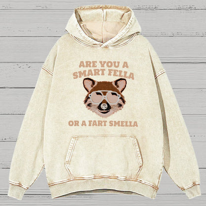 Are You A Smart Fella Or Fart Smella Vintage Distressed Hoodie