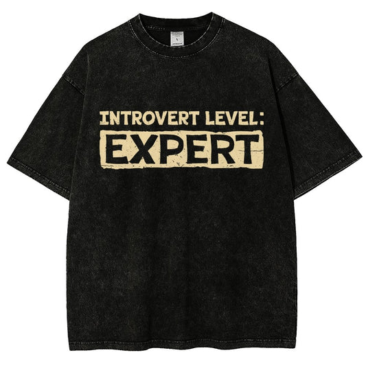 Introvert Level:Expert Vintage Distressed T-shirt