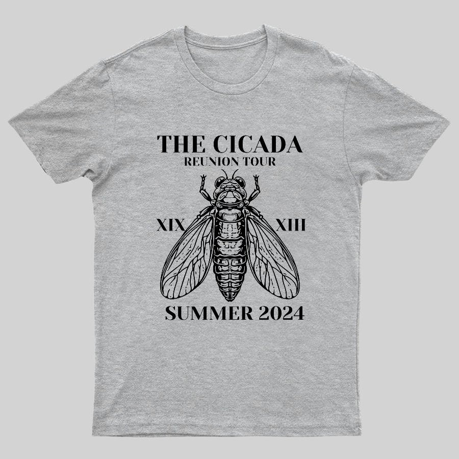 The Cicada Reunion U.S Tour 2024 Cicada Geeky T-Shirt