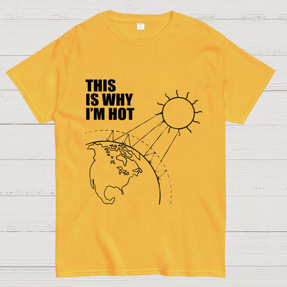 This Is Why I'm Hot  Geeky T-Shirt
