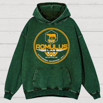 Aurora Lab Vintage Distressed Hoodie