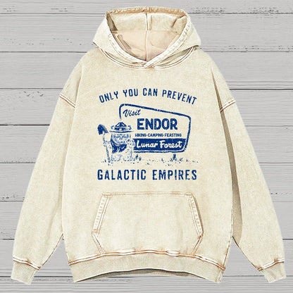 Only You Can Prevent Cosmic Kingdoms Vintage Distressed Hoodie